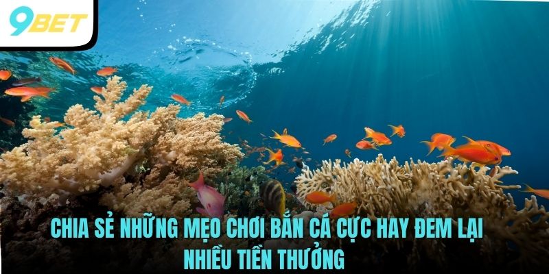 Bắn Cá Long Vương - Hướng Dẫn Câu Cá Lấy May, Đổi Tiền Liền Tay 4 Chia sẻ những mẹo chơi Bắn Cá cực hay đem lại nhiều tiền thưởng