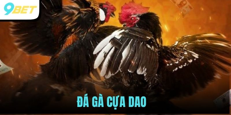 Đá Gà Cựa Dao - Theo Dõi Các Trận Đấu Hot Nhất Tại 9BET 1 đá gà cựa dao