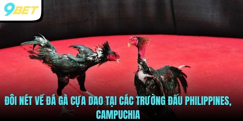Đá Gà Cựa Dao - Theo Dõi Các Trận Đấu Hot Nhất Tại 9BET 2 Đôi nét về đá gà cựa dao tại các trường đấu Philippines, Campuchia
