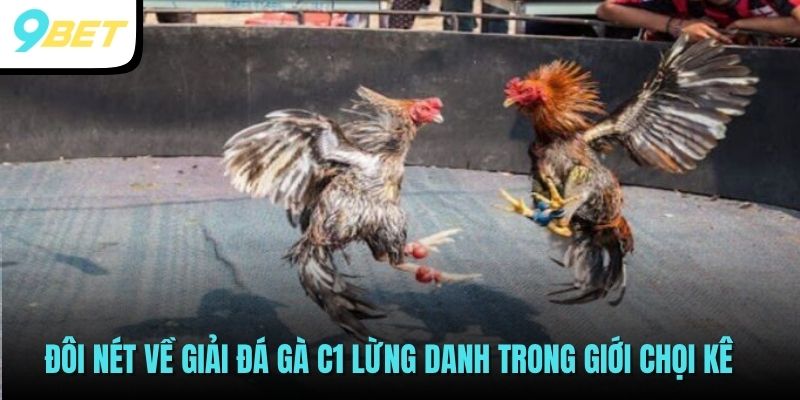 Đá Gà C1: Giải Đấu Đỉnh Cao, Kịch Tính Và Hấp Dẫn Tại 9BET 2 Đôi nét về giải Đá gà C1 lừng danh trong giới chọi kê