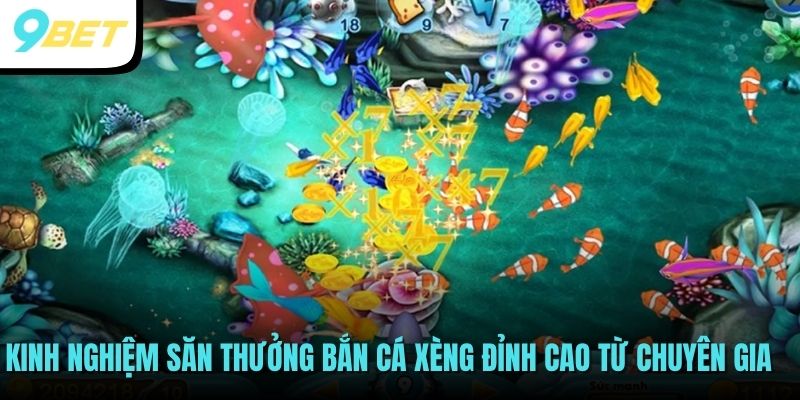 Bắn Cá Xèng - Tham Gia Bắn Cá Thả Ga Nhận Tiền Liền Tay 4 Kinh nghiệm săn thưởng bắn cá xèng đỉnh cao từ chuyên gia
