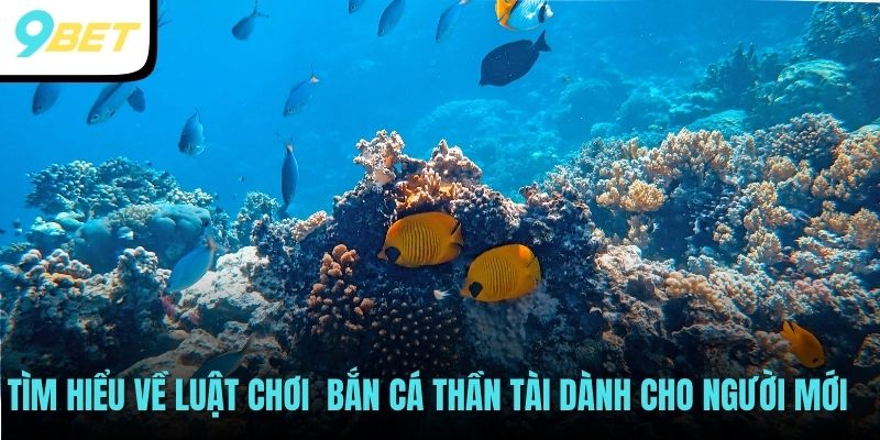 Bắn Cá Thần Tài Săn Thưởng Đại Dương Đẳng Cấp Nhất 2025 3 Tìm hiểu về luật chơi Bắn cá thần tài dành cho người mới